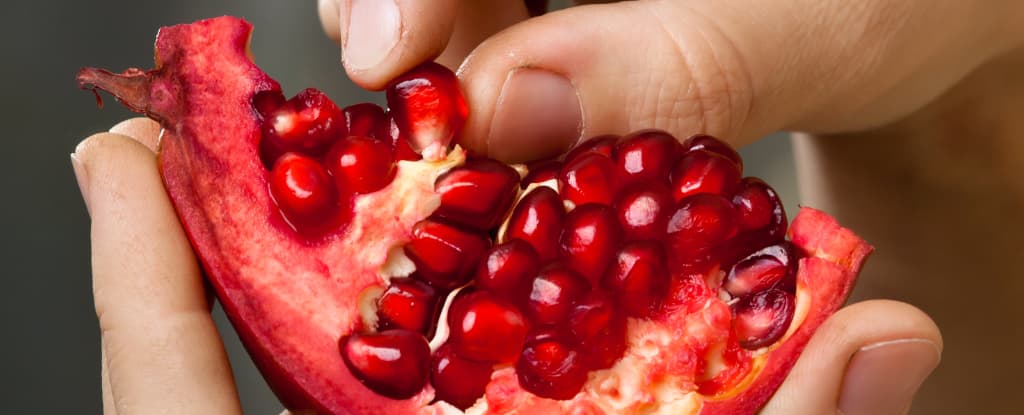 کاهش خطرات مکمل ورزشی ال-کارنیتین با مصرف همزمان انار