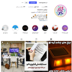 nanogram